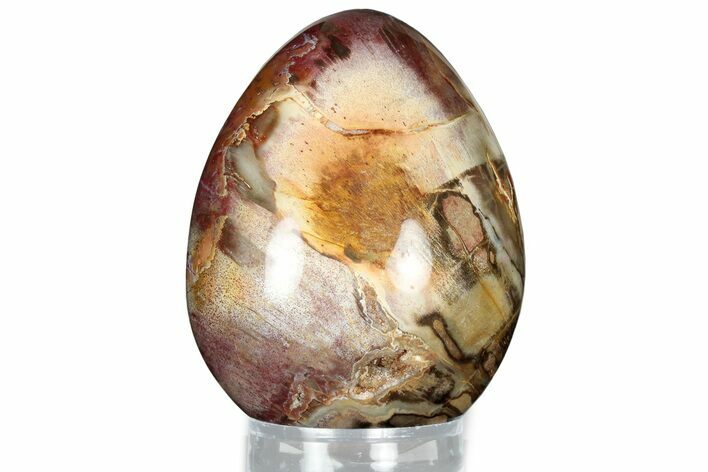 Colorful, Polished Petrified Wood Egg - Madagascar #318343